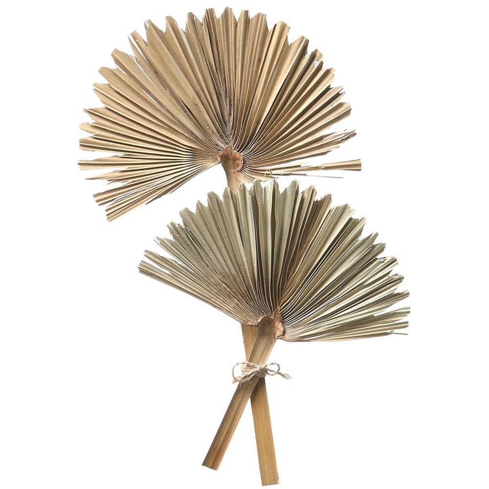 Allstate Floral Fan Palm Leaf Bundle Dried Stem XAB801-CR
