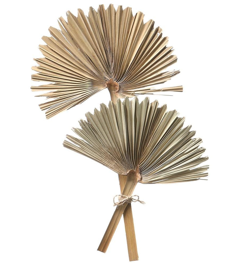 Fan Palm Leaf Bundle