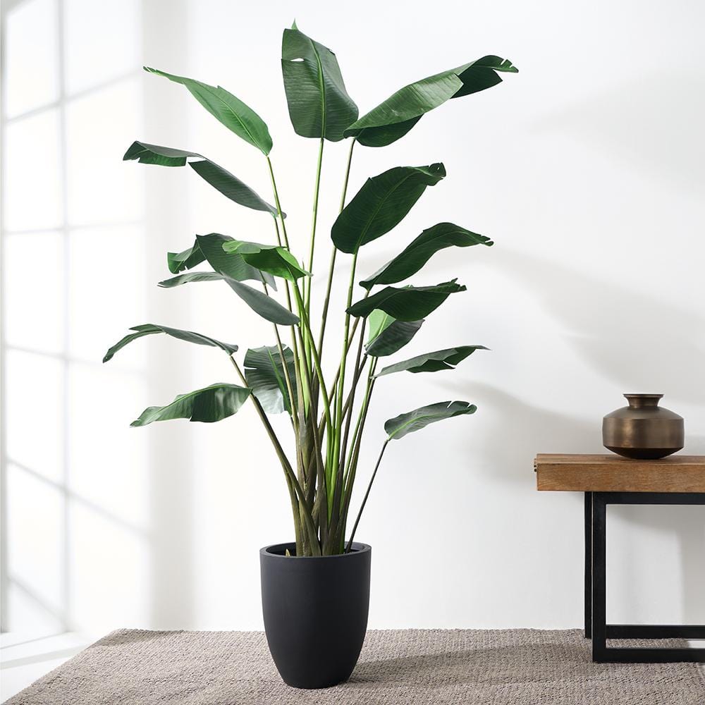 large fake indoor plant Faux Birds of Paradise – Megan Molten