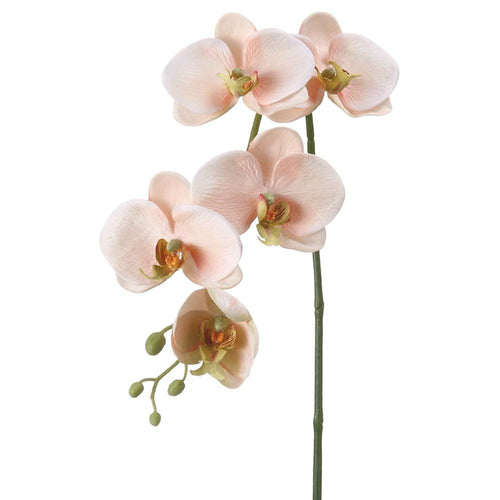 Allstate Floral Faux Phalaenopsis Orchid Spray Faux Branches FSO713-PE/CR