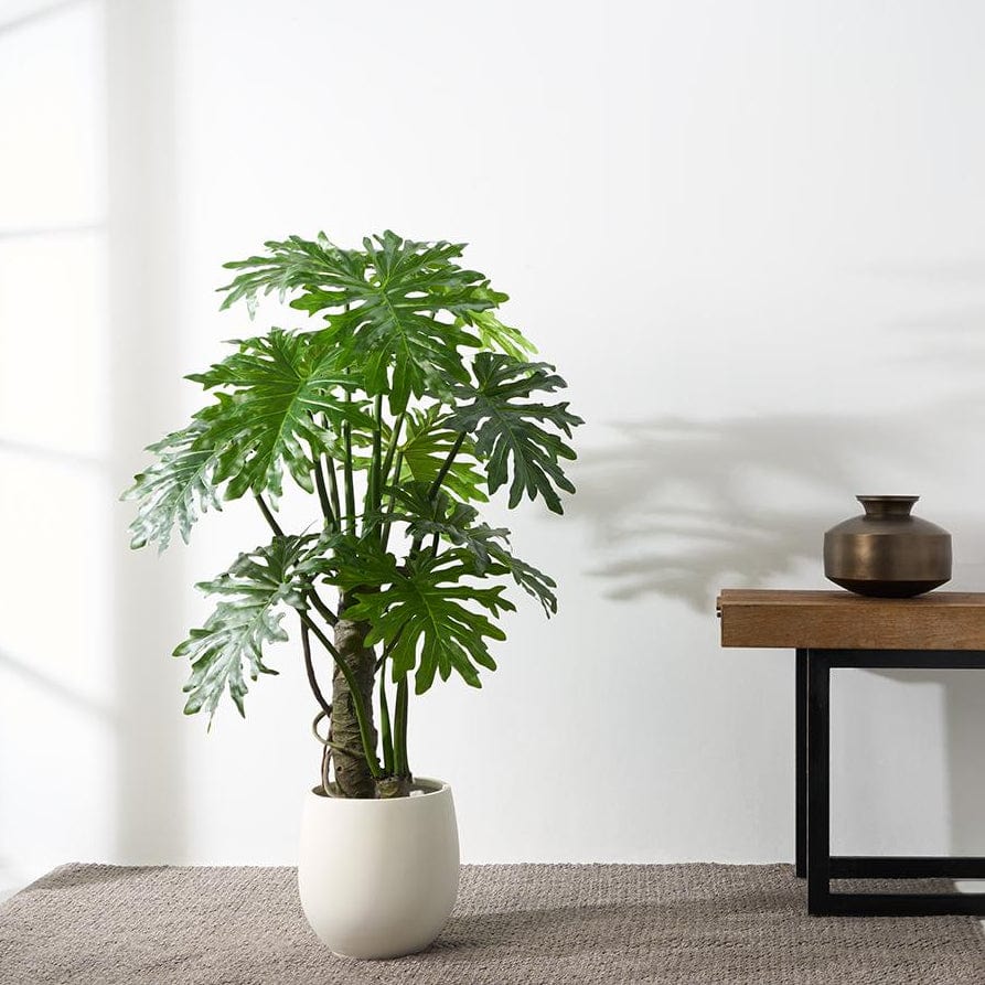 philodendron split leaf indoor Faux Philodendron Plume Split Leaf Plant