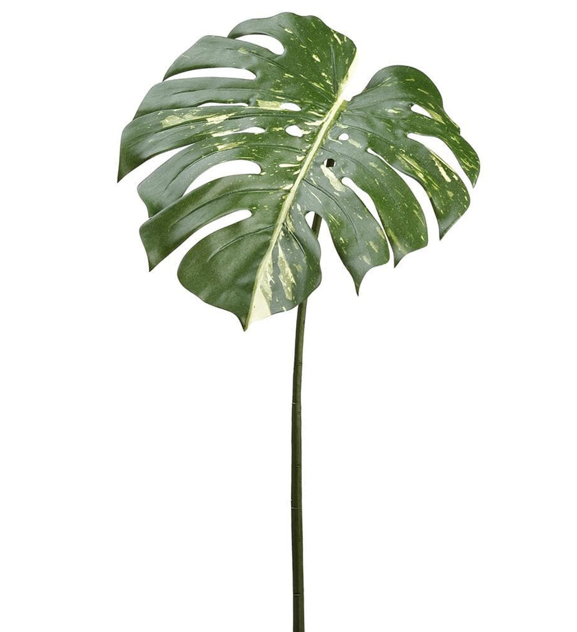 Faux Philodendron Tropical Leaf