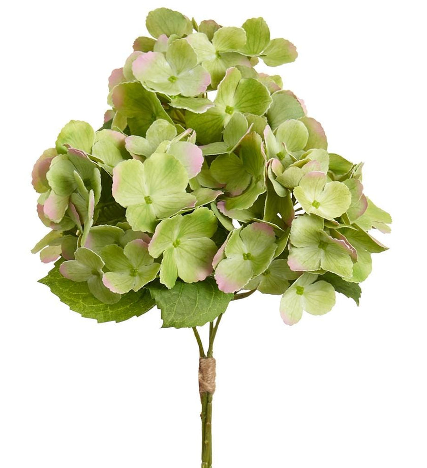 Green Hydrangea Bundle