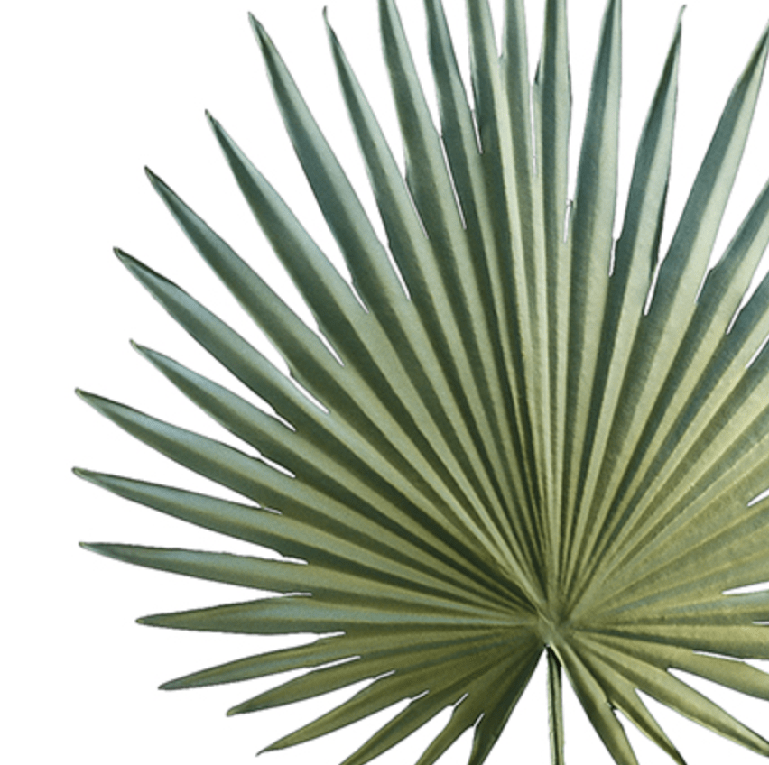 Allstate Floral Grey Green Fan Palm FSP055-GR/GY