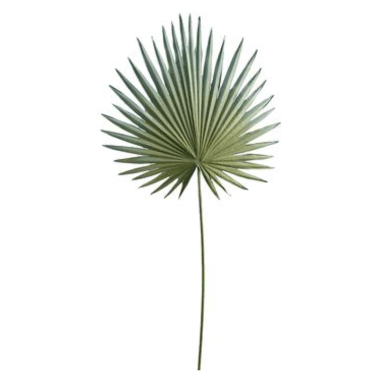 Allstate Floral Grey Green Fan Palm FSP055-GR/GY