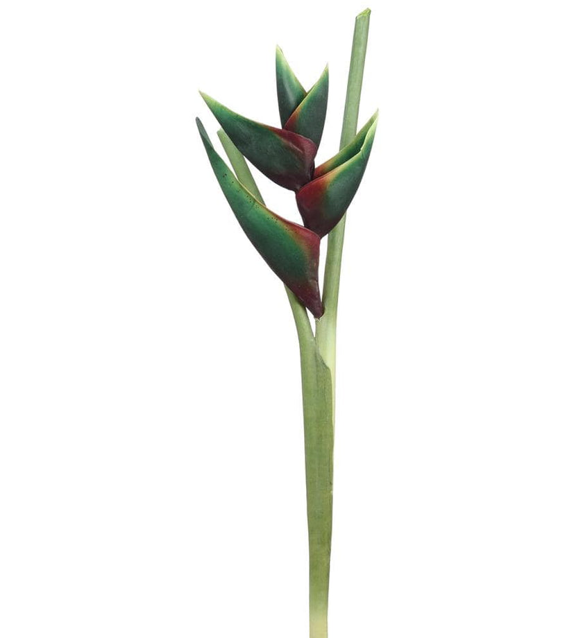 Hawaiian Heliconia Spray