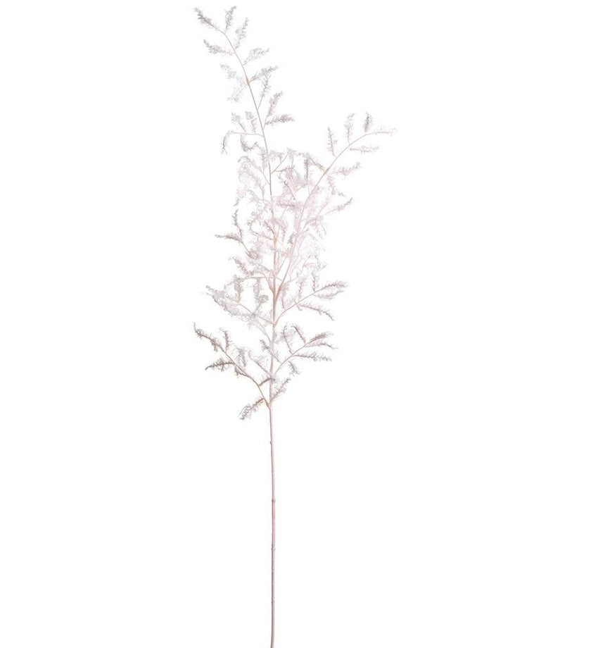 Lace Italian Ruscus Leaf Spray