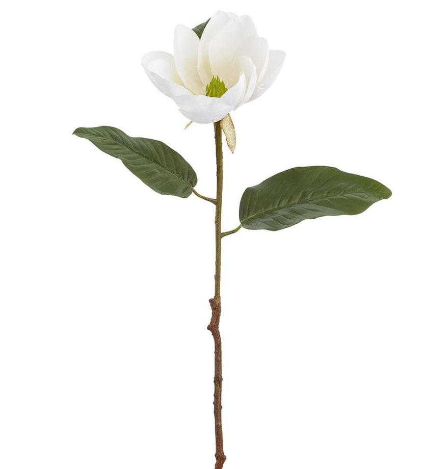 Magnolia Spray - Cream