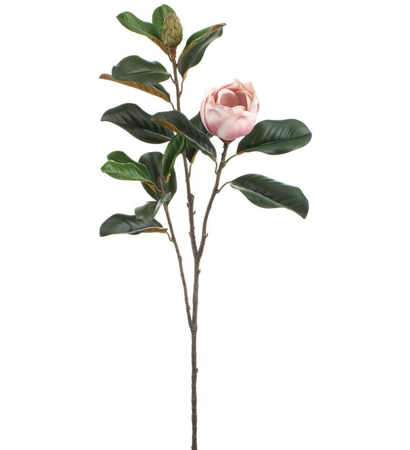Magnolia Spray