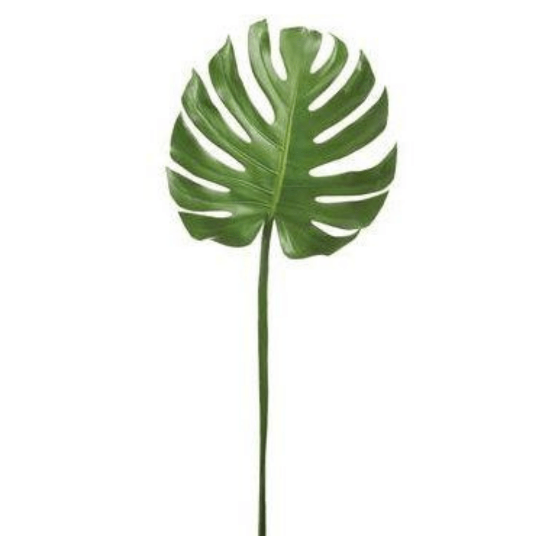 Allstate Floral Monstera Leaf PSM052-GR