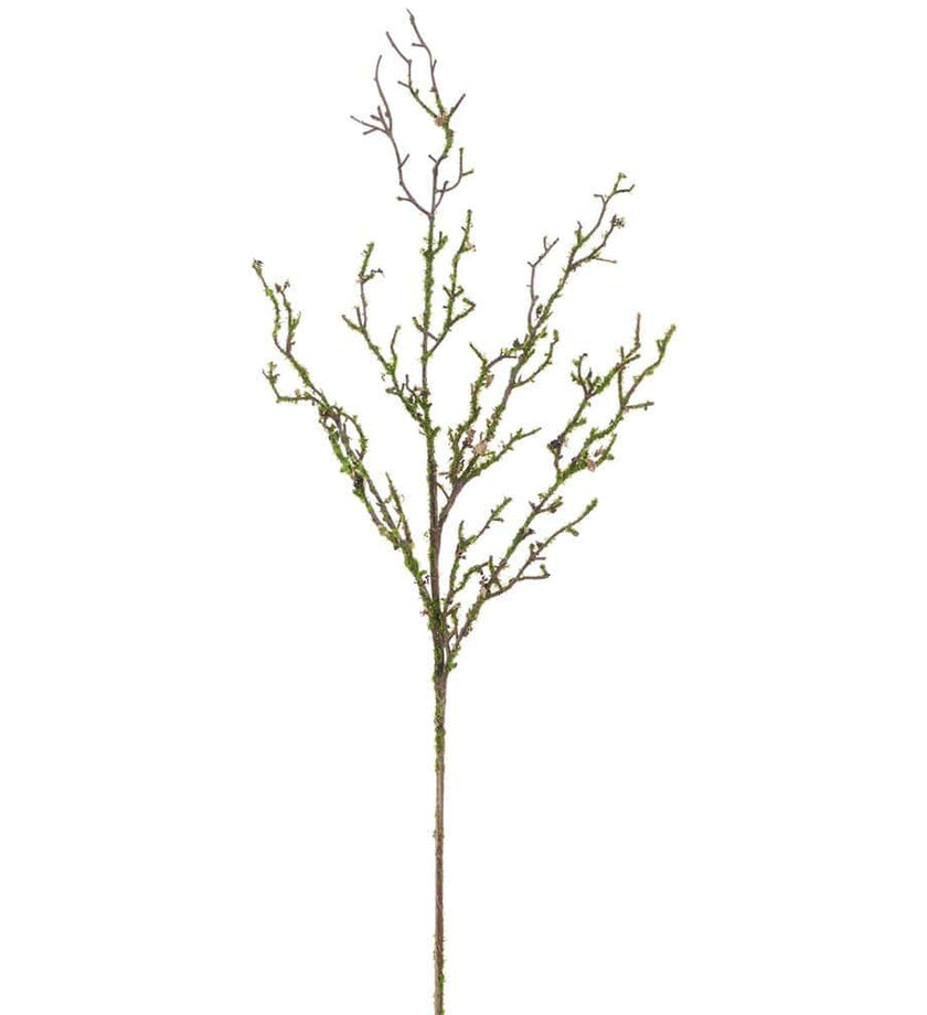 Moss Twig Spray
