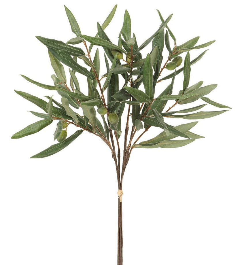 Olive Branch Bundle