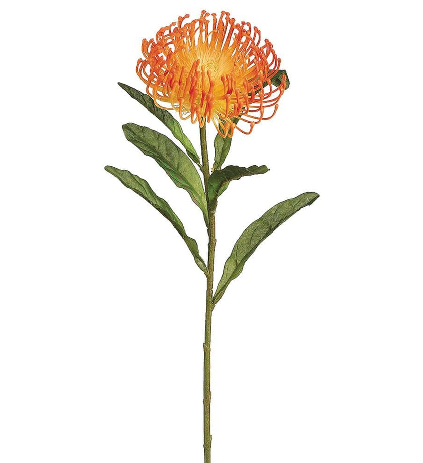 Open Needle Protea Spray