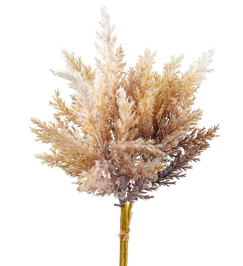 Pampas Grass Bundle