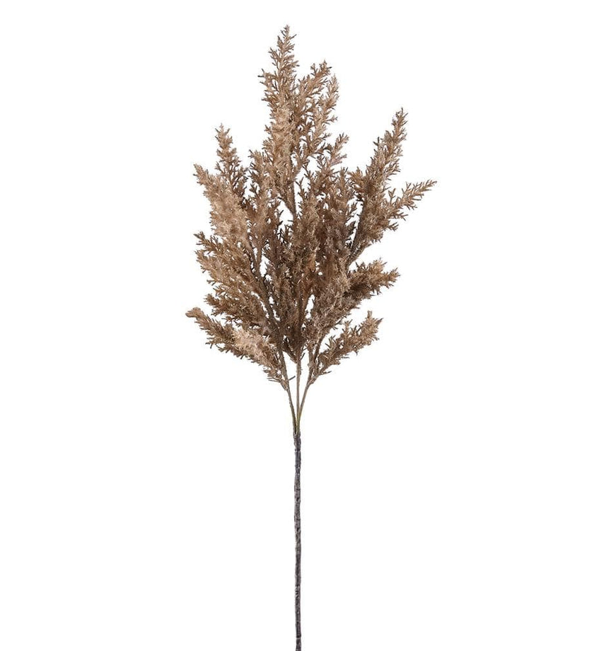 Pampas Grass Spray