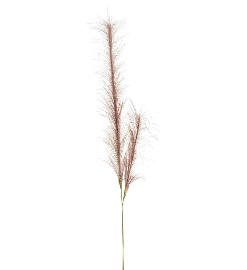 Pampas Grass Spray