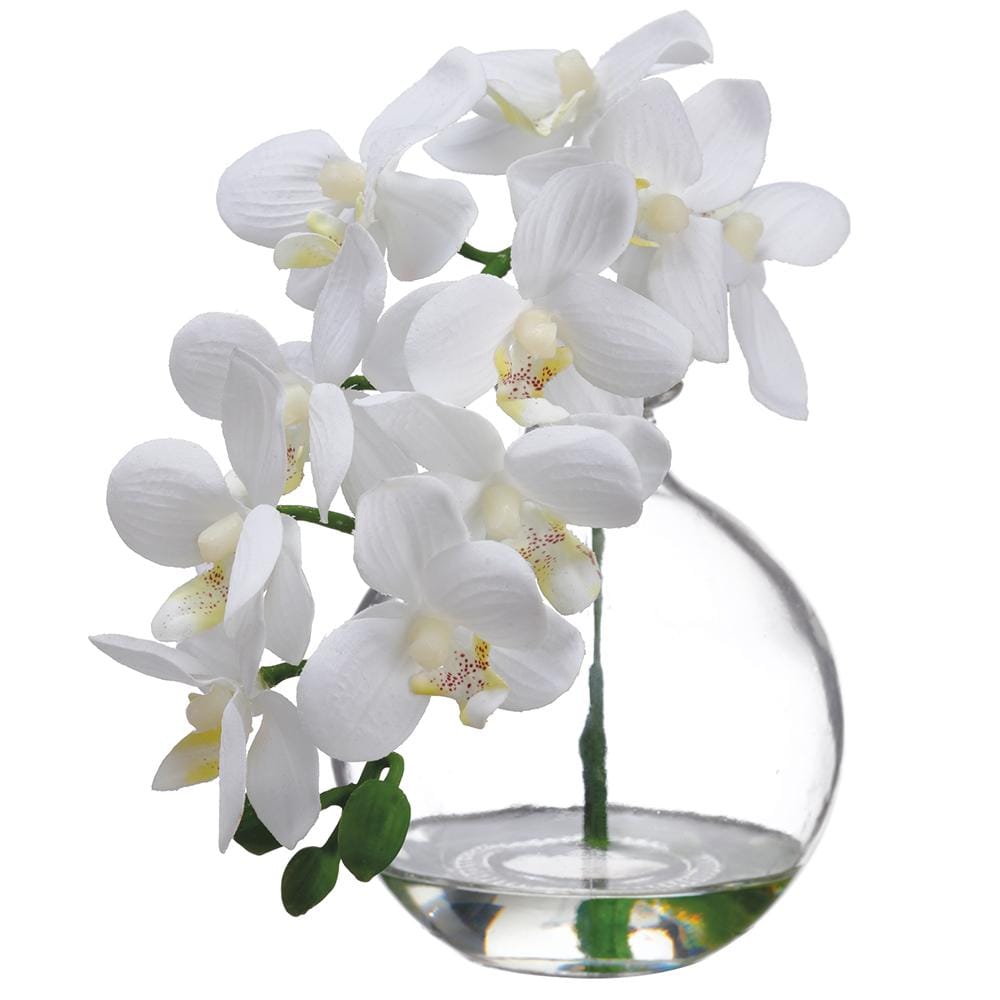 Allstate Floral Phalaenopsis Orchid in Glass Vase Faux Plants LFO956-CR