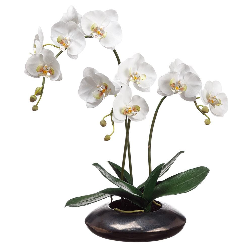 Allstate Floral Phalaenopsis Orchid Plant in Ceramic Pot Faux Plants LHO612-WH/GR