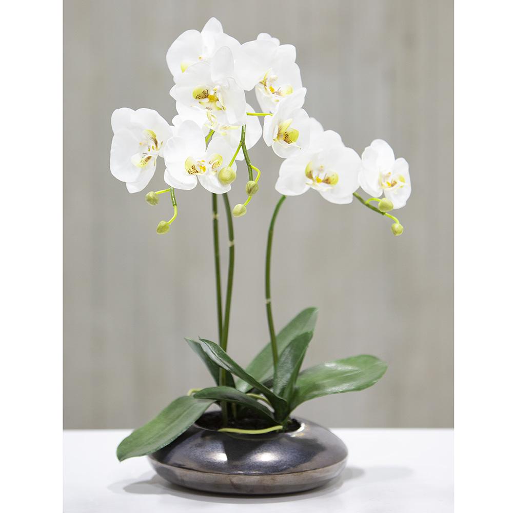 Allstate Floral Phalaenopsis Orchid Plant in Ceramic Pot Faux Plants LHO612-WH/GR