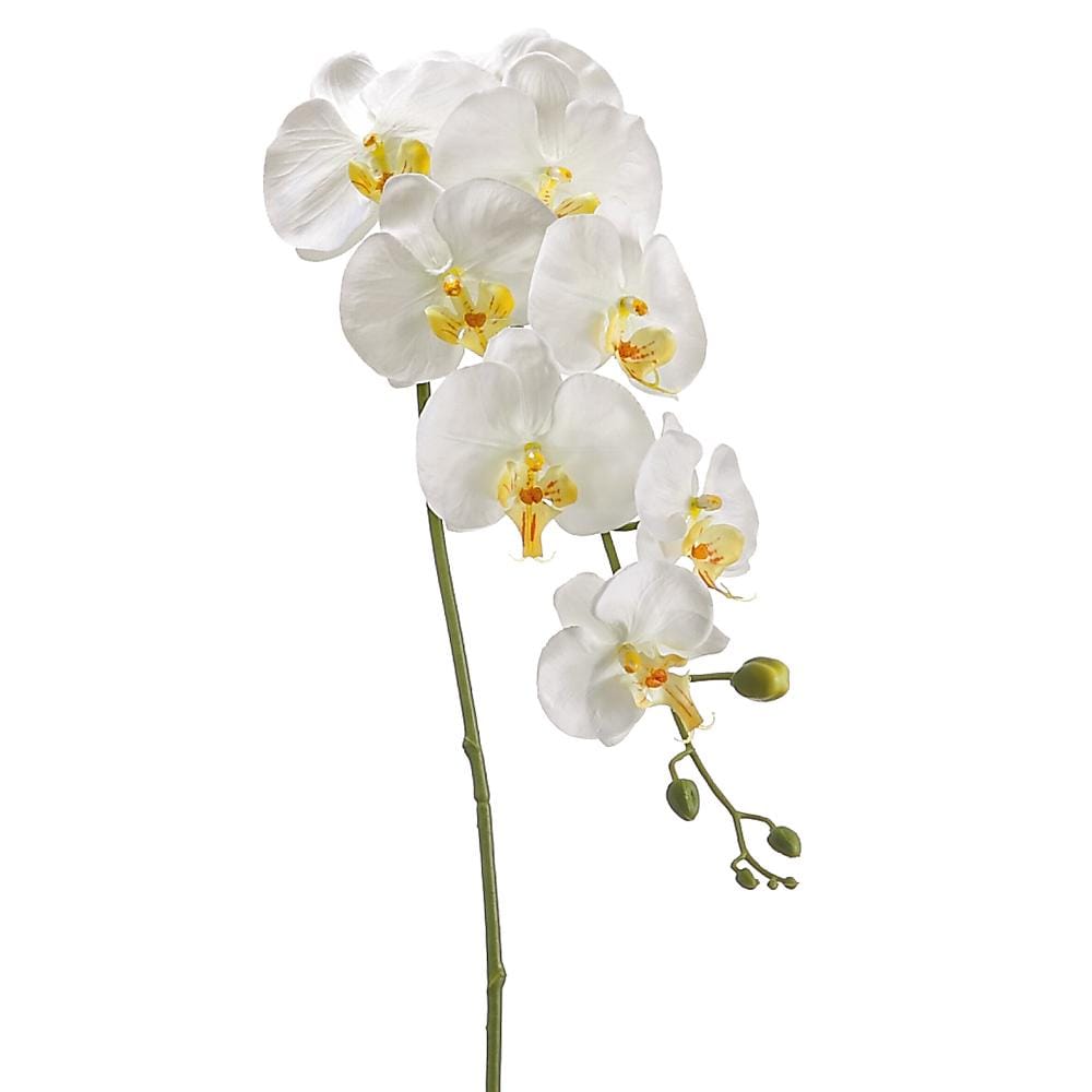 Allstate Floral Phalaenopsis Orchid Stem Faux Plants FSO110-CR/YE