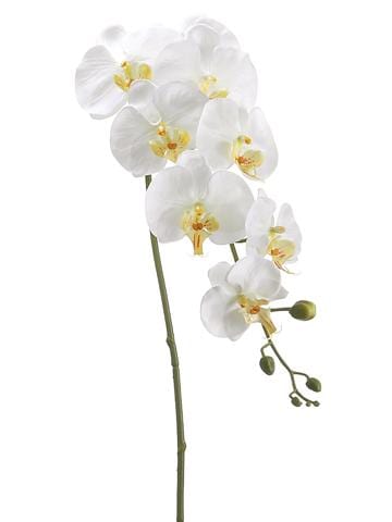 Allstate Floral Phalaenopsis Orchid Stem Faux Plants FSO110-CR/YE