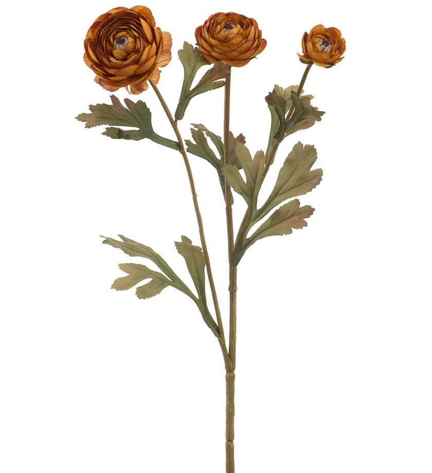 Ranunculus Spray - Amber