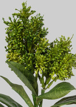 Allstate Floral Skimmia Cluster Flowers Faux Plants SLK-HSS505-GR