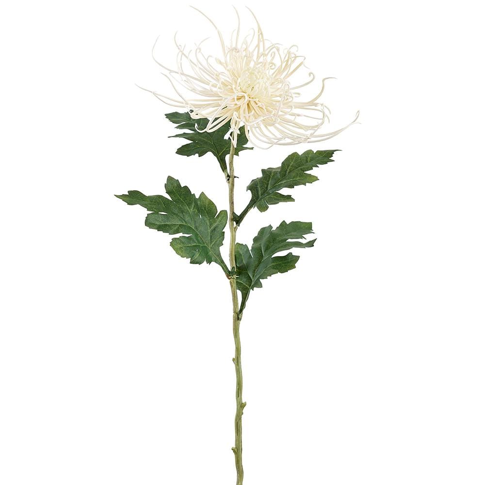 Allstate Floral Spider Mum Spray - Cream faux flower FSM037-CR