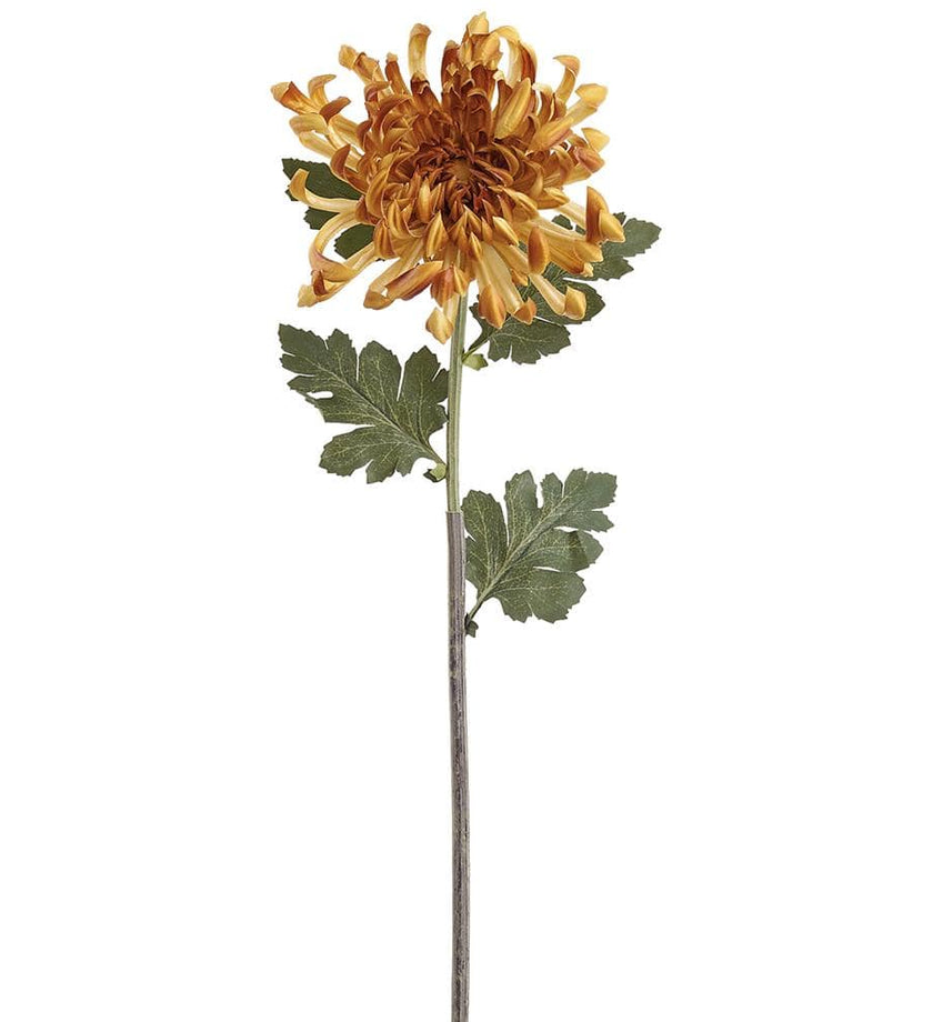 Spider Mum Spray - Mustard
