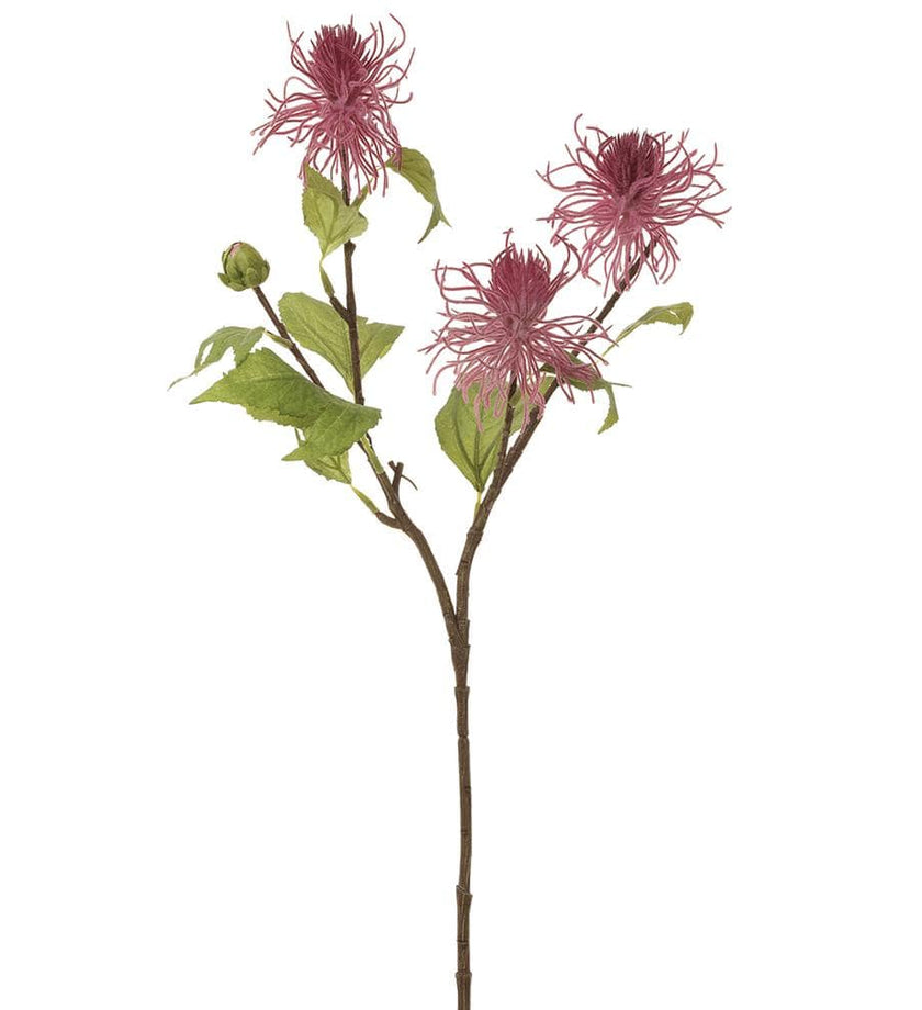 Spider Mum Spray Pink