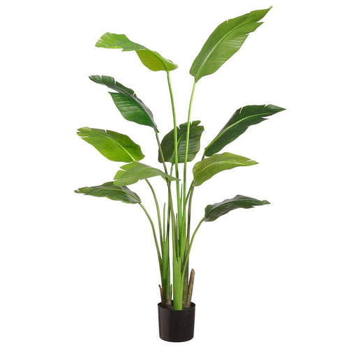 Allstate Floral Traveller Palm Plant Faux Plants LPP005-GR