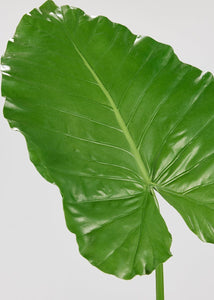 Allstate Floral Tropical Elephant Ear Leaf - 43" Faux Plants SLK-PSE050-GR