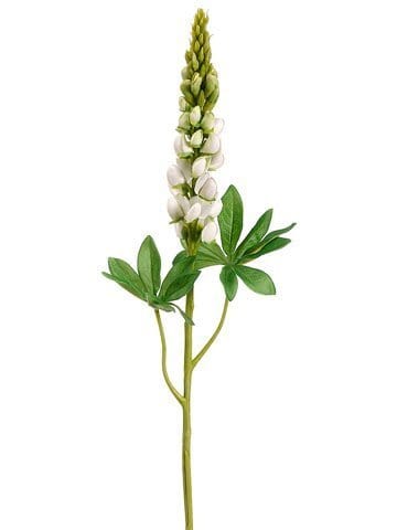 White Lupinus Spray – Megan Molten