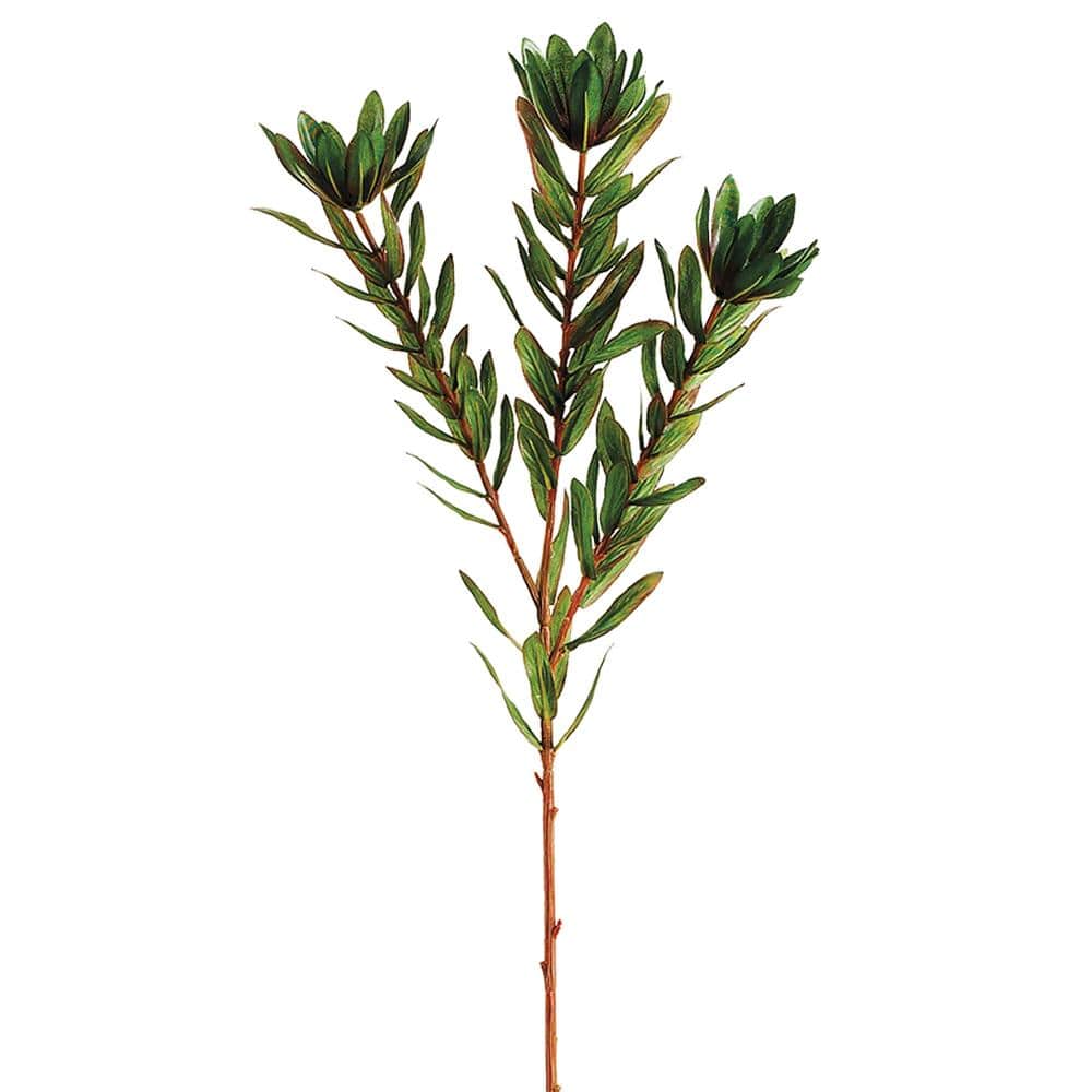 Allstate Floral Wild Protea Greenery Stem Faux Plants GTP335-GR