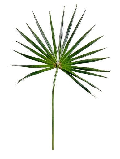 Amazing Palm Trees Faux Fan Palm Branch HSP124-GR