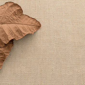 Pebble Indoor/Outdoor Rug- Natural – Megan Molten