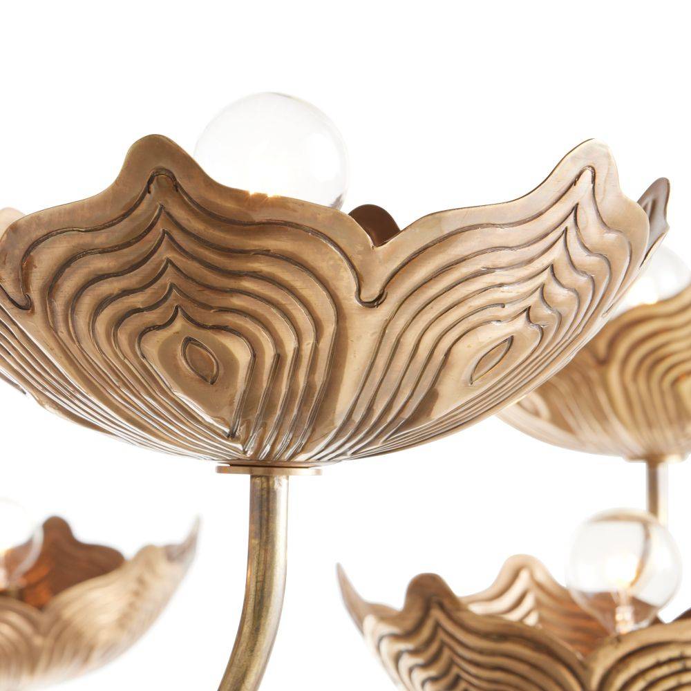 Arteriors Encinitas Chandelier Chandeliers DLI06