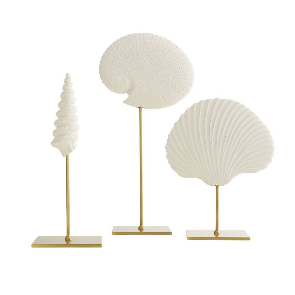 Shell Sculptures - Set of 3 – Megan Molten