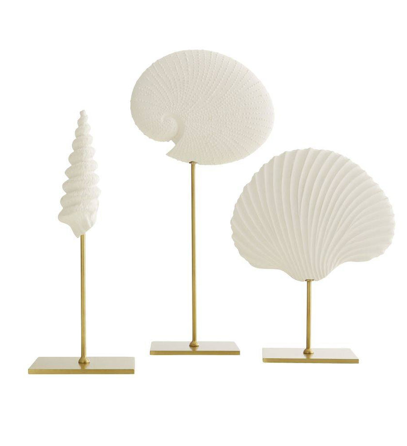 Shell Sculptures - Set of 3