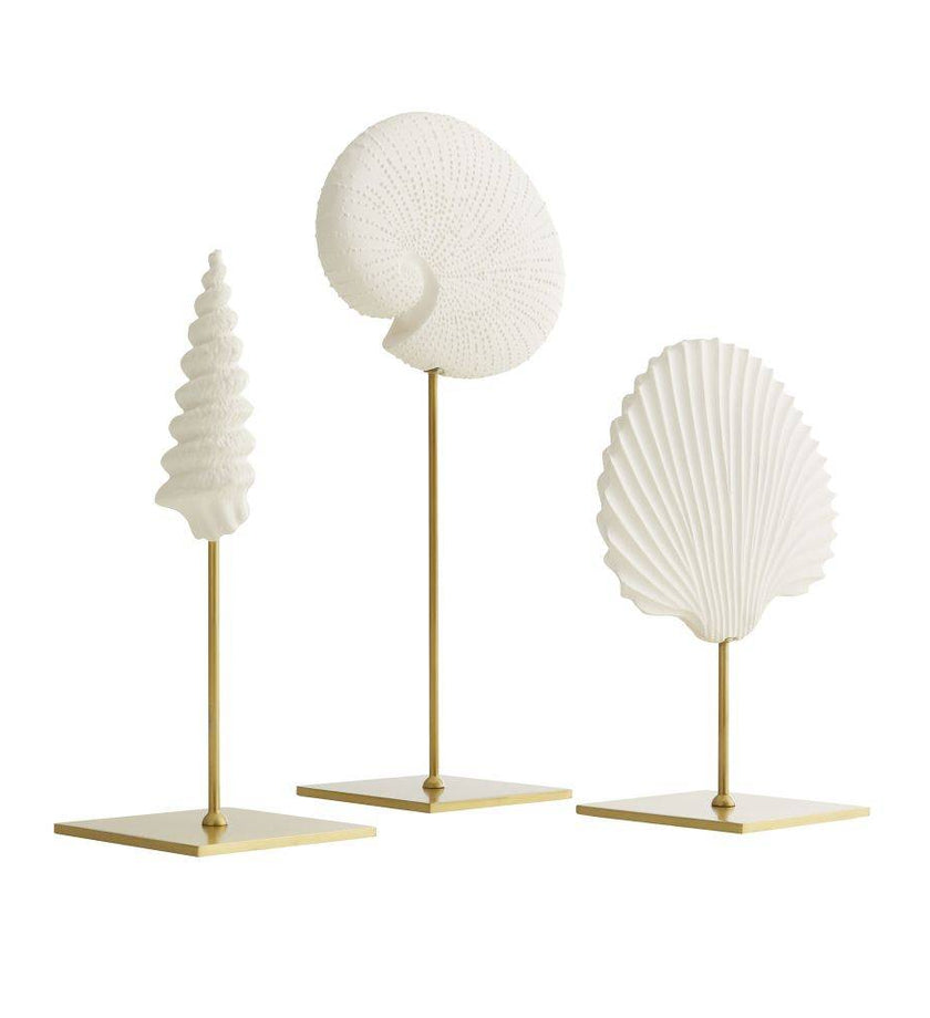 Shell Sculptures - Set of 3 - secondary