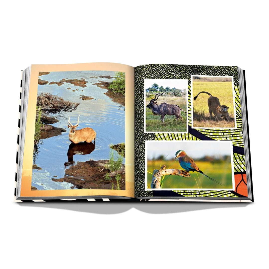 Assouline African Adventures: The Greatest Safari on Earth Books AfricanAdvent