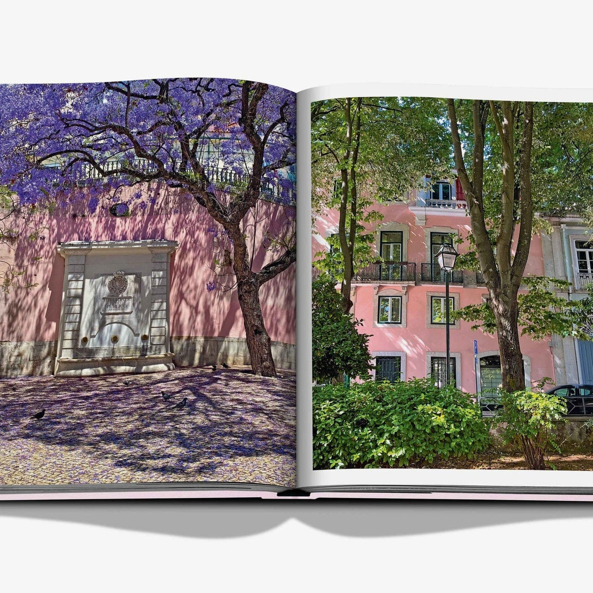 Assouline Lisboa Luz Books LisboaLuzBook