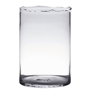 BidK Home Glass Cylinder Vase Vases