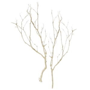 Blooms & Branches Sandblasted Manzanita S24F8