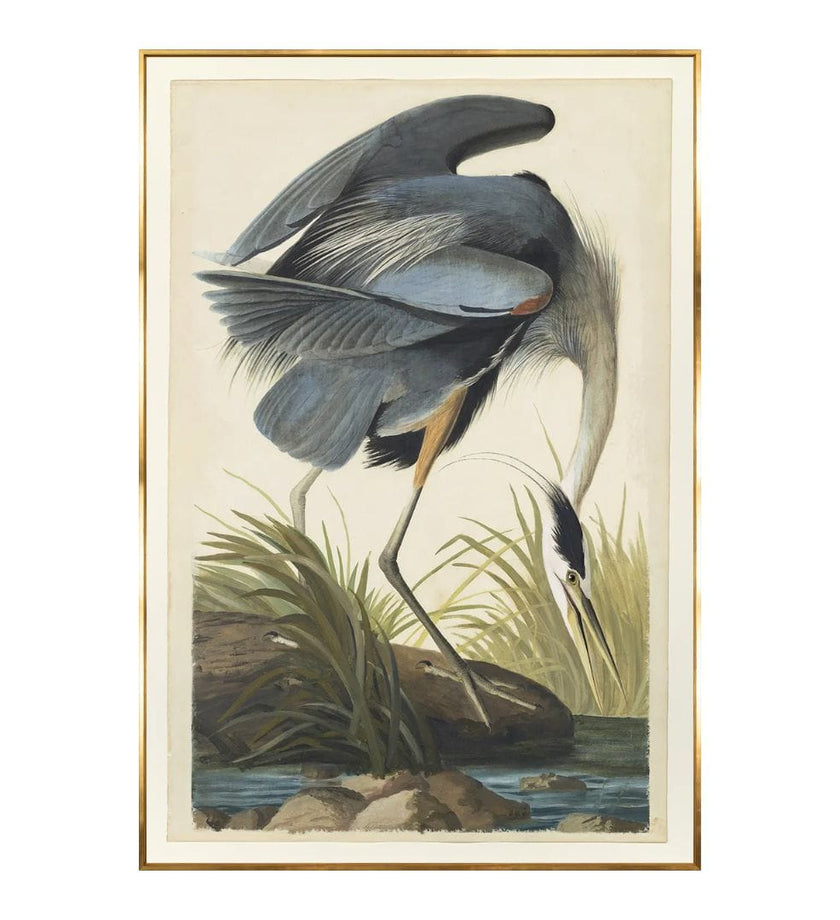 Blue Heron