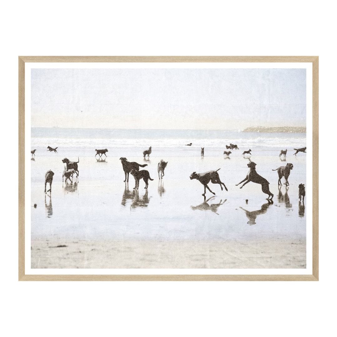 Celadon Art Dog Days at the Beach Artwork