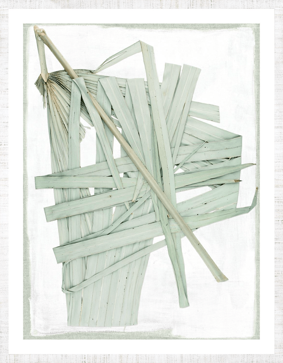 Celadon Art Pressed Palm 2 - Biscay Artwork 20121