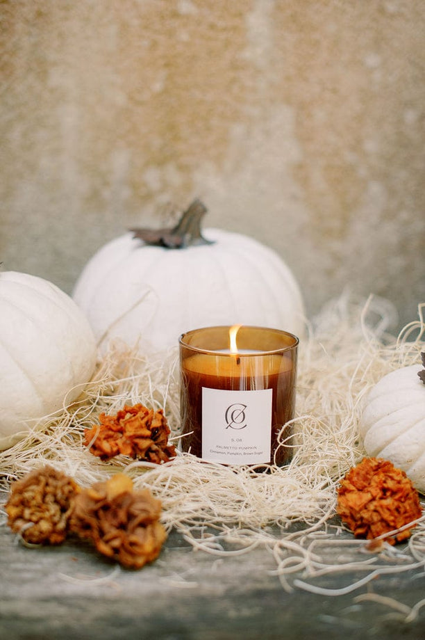 Palmetto Pumpkin Candle - secondary