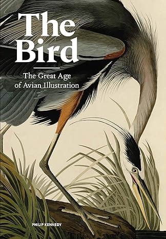 Common Ground The Bird: The Great Age of Avian Illustration Books 1-78627-731-X