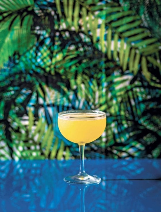 Common Ground Tiki: Modern Tropical Cocktails Books 0789335549